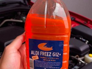 ALDI FREEZ G12 3L